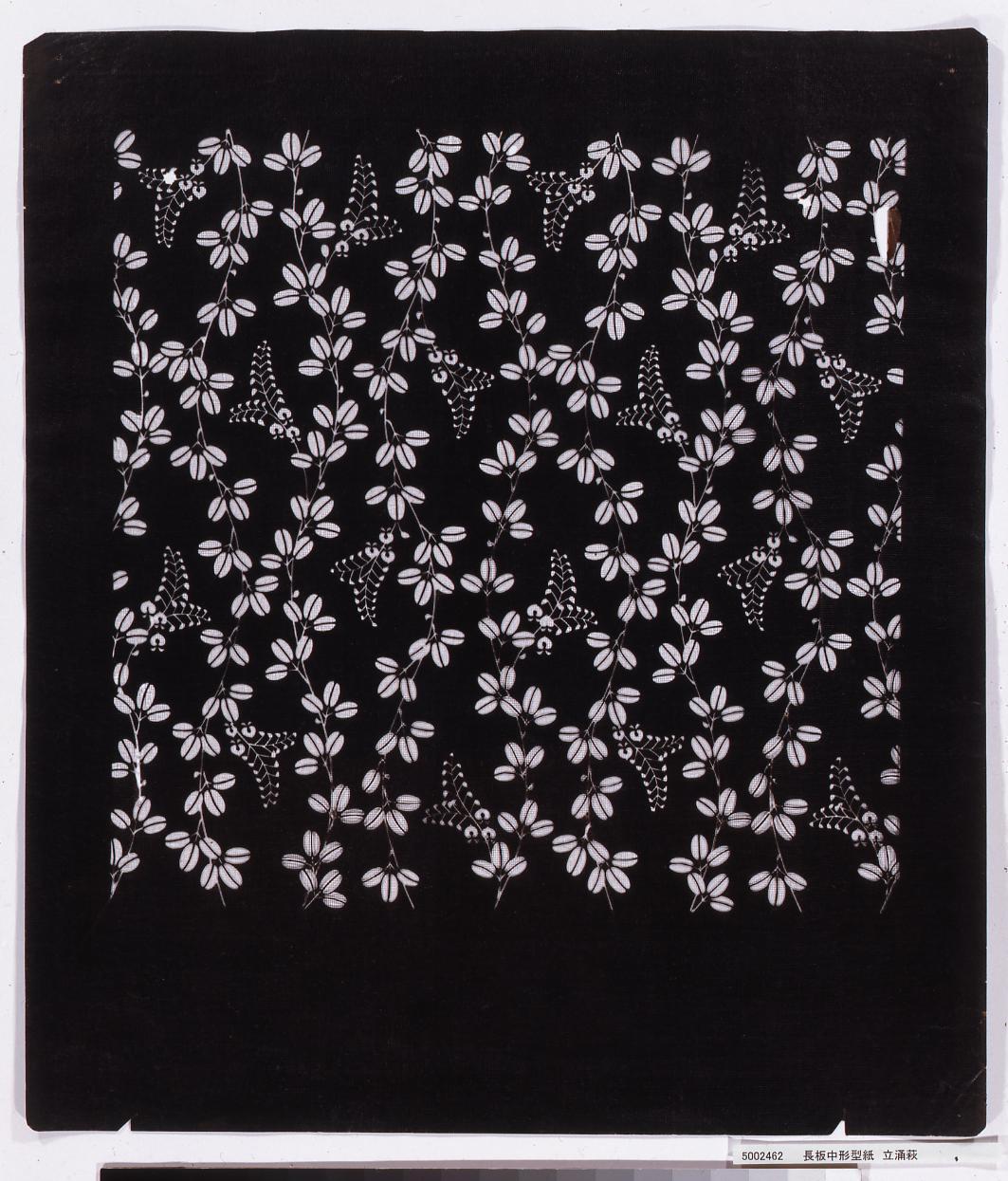 長板中形型紙 立涌萩