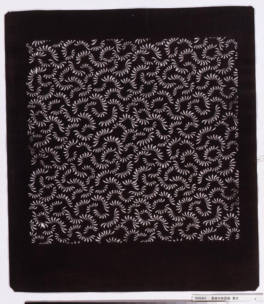 長板中形型紙 菊文