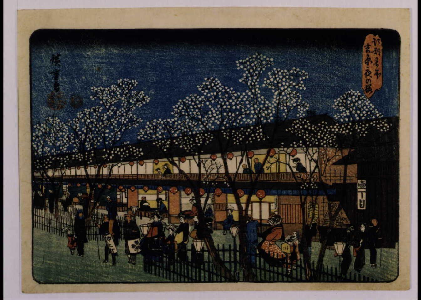 江都名所吉原夜の桜 | ToMuCo - Tokyo Museum Collection