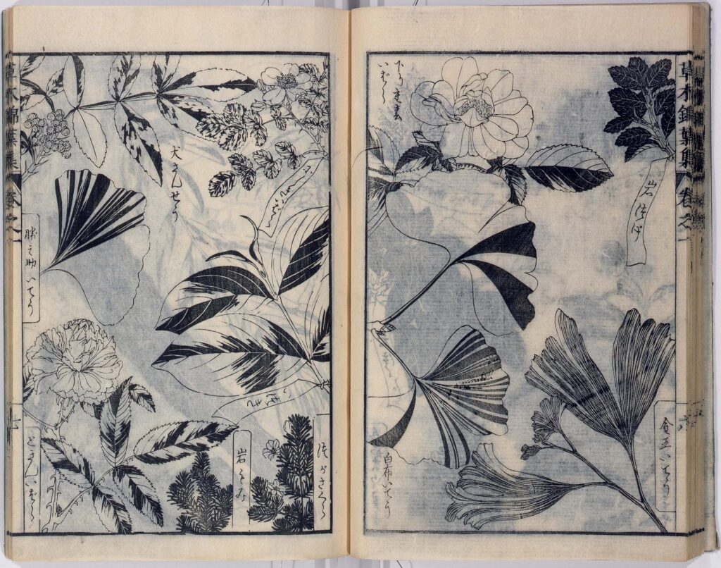 作品画像:草木錦葉集
