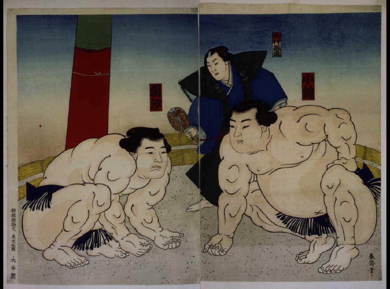 小錦朝汐取組図