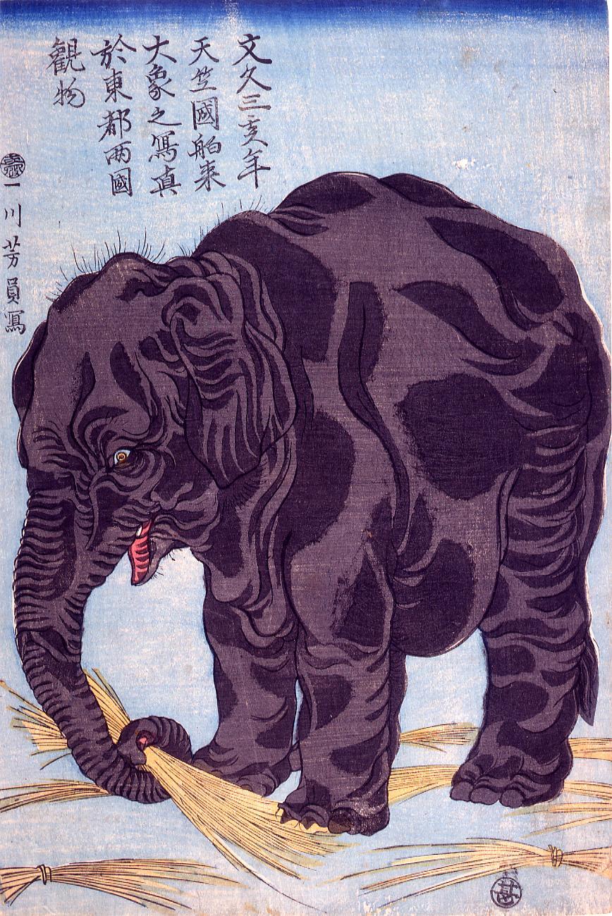 文久三亥年天竺国舶来大象之写真於東都両国観物
