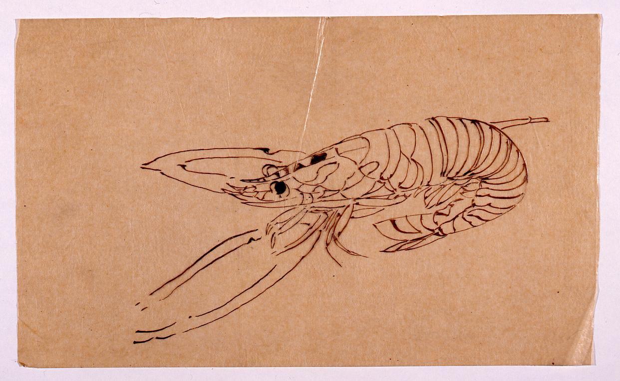【税込】 鼈甲の海老の絵画 その他