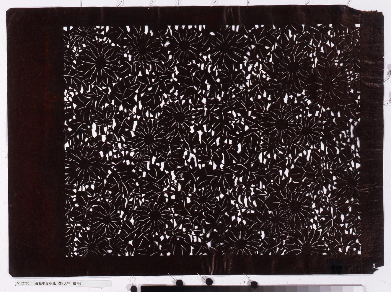 長板中形型紙 菊(大判 追掛)