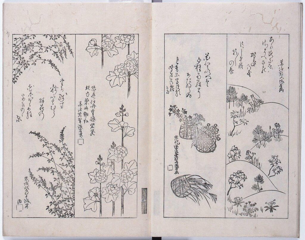 作品画像:乾山遺墨(配り本)