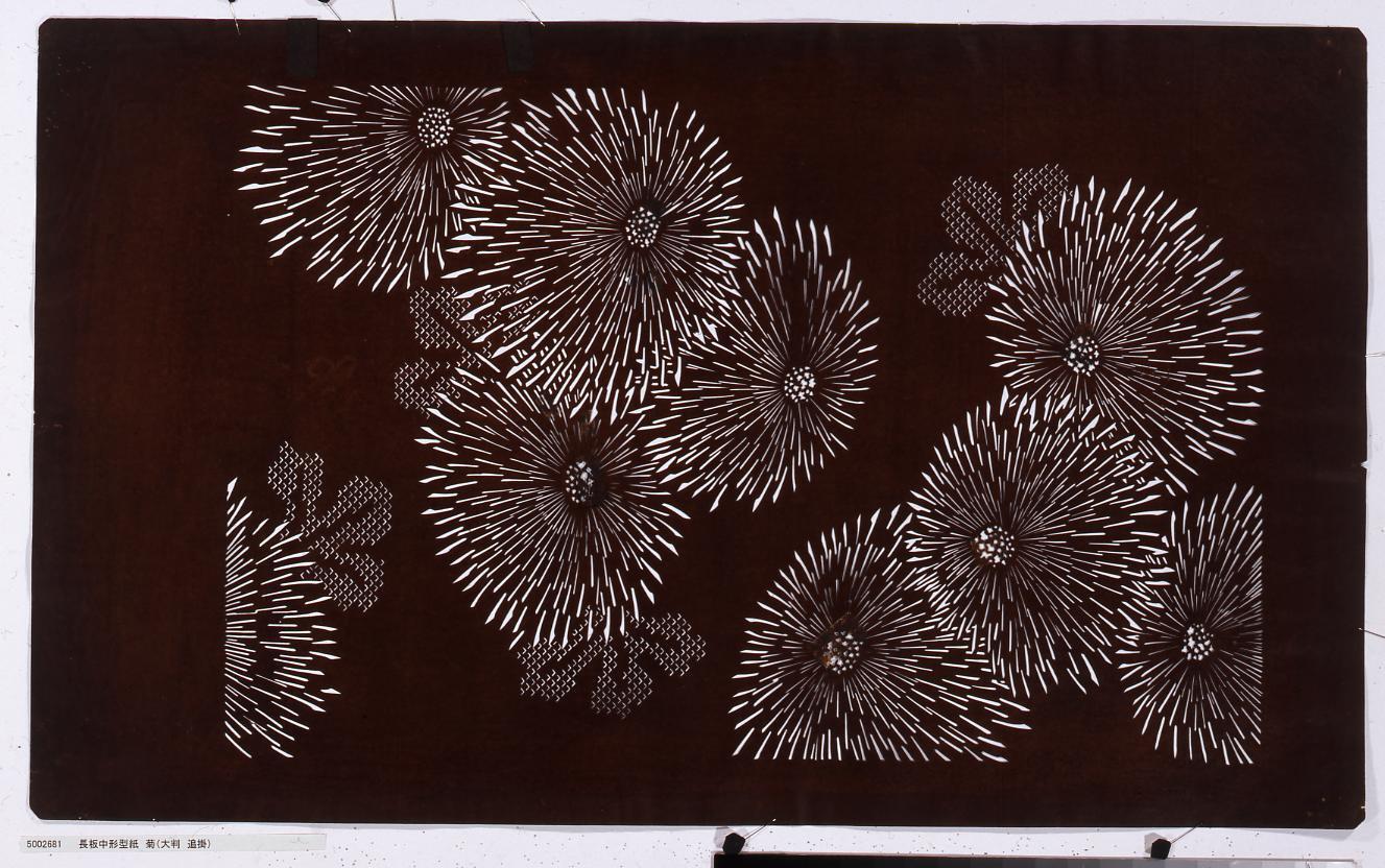 長板中形型紙 菊(大判 追掛)