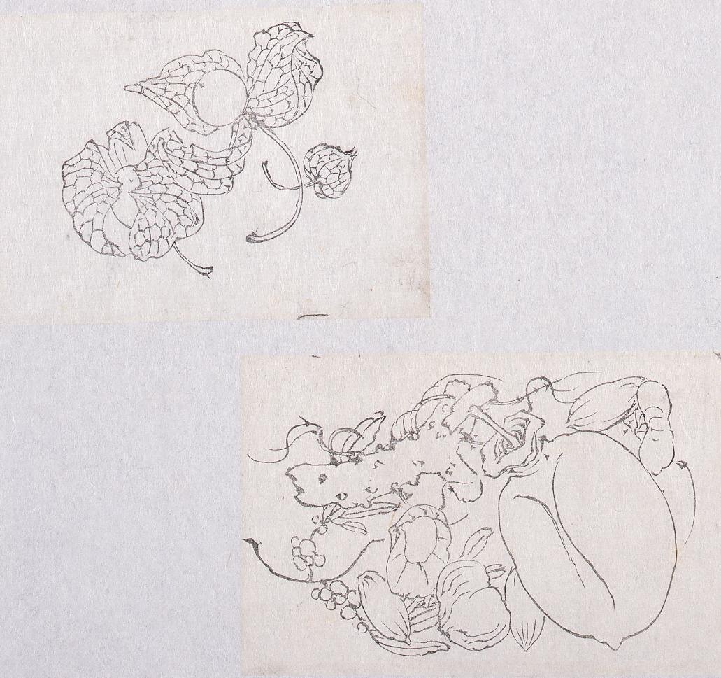 Black Print Cutout Pictures: Chinese Lantern Plant, Pomegranate (Shibata Zeshin's Block Print, Black Print, Other Prints)