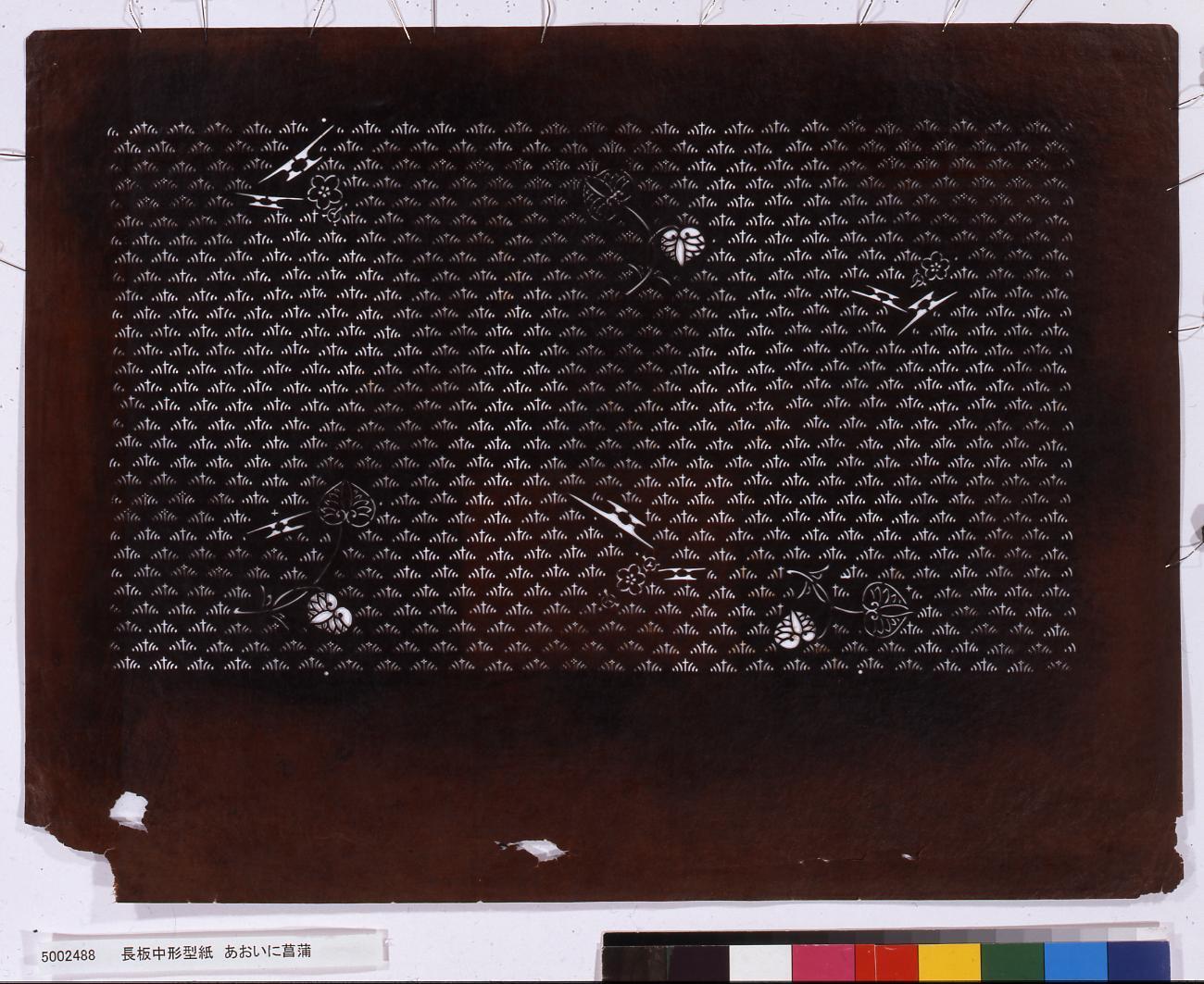 長板中形型紙 あおいに菖蒲