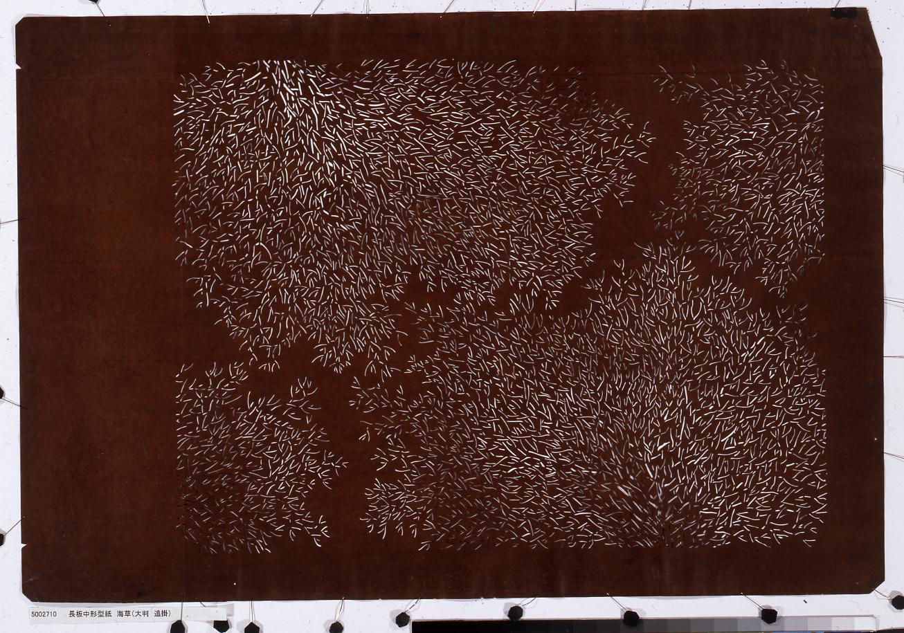 長板中形型紙 海草(大判 追掛)