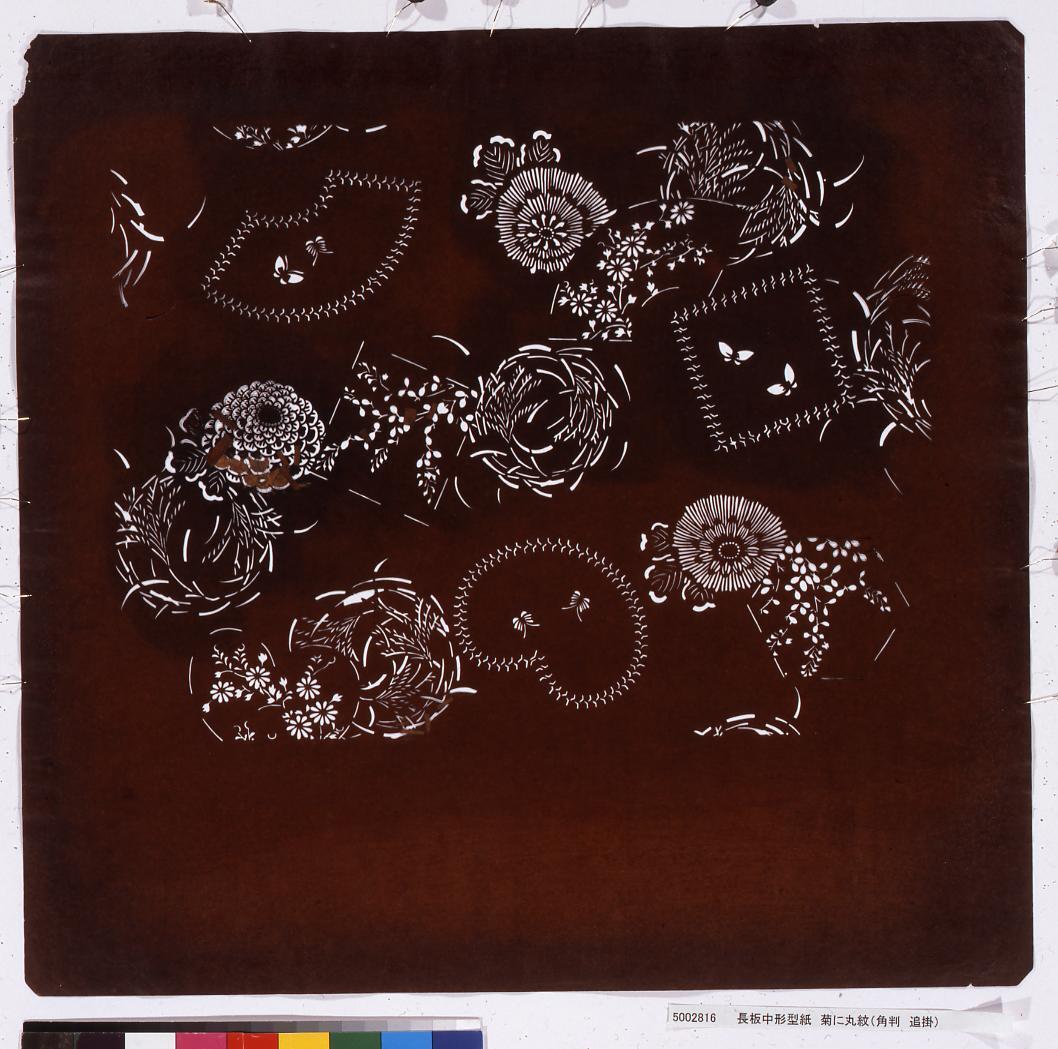 長板中形型紙 菊に丸紋(角判 追掛)