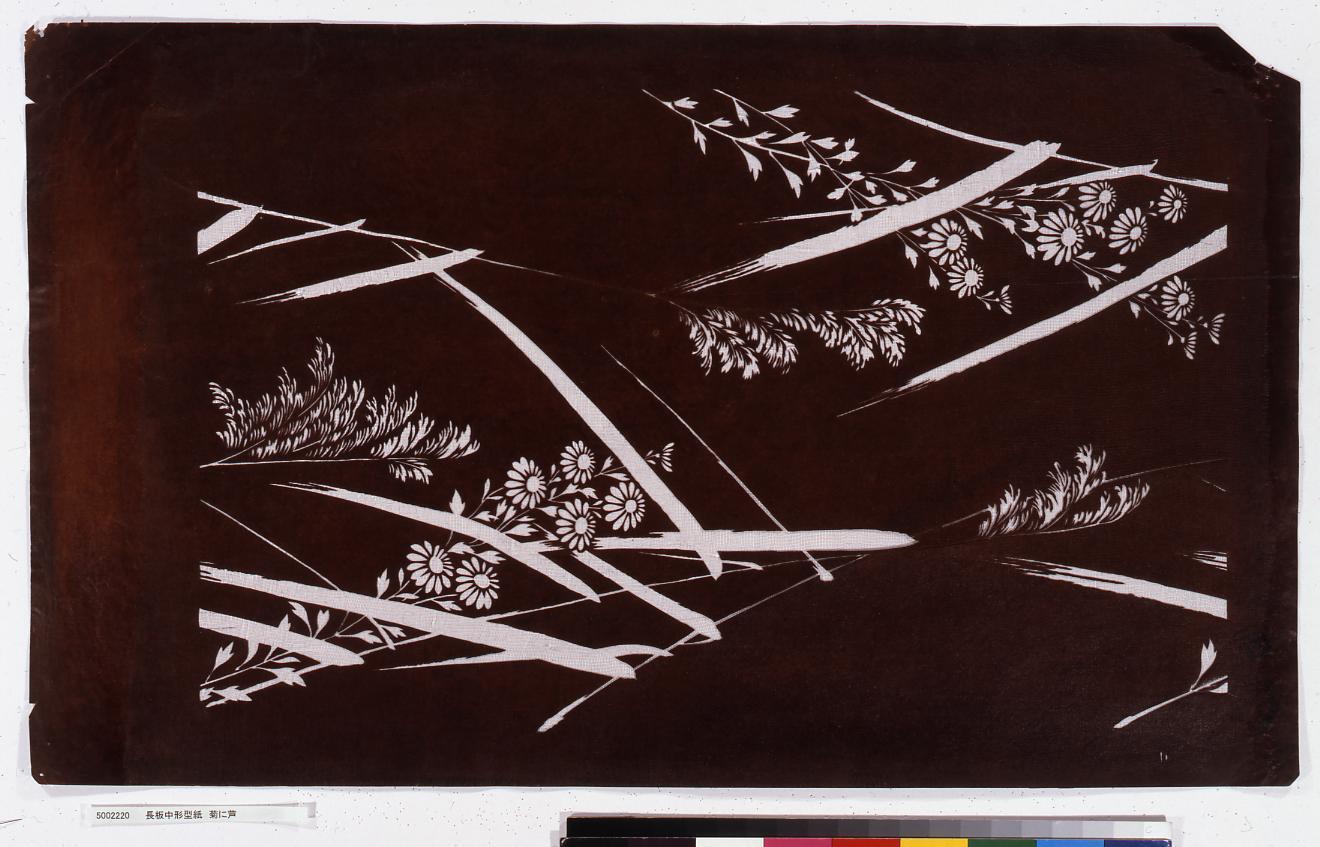 長板中形型紙 菊に芦