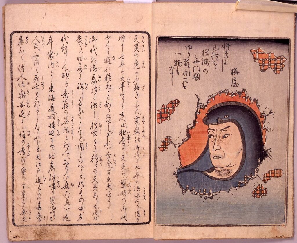 作品画像:安政見聞誌