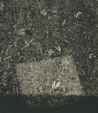 作品画像:転位 ’82-地-Ⅱ(秋)