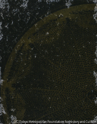 作品画像:16