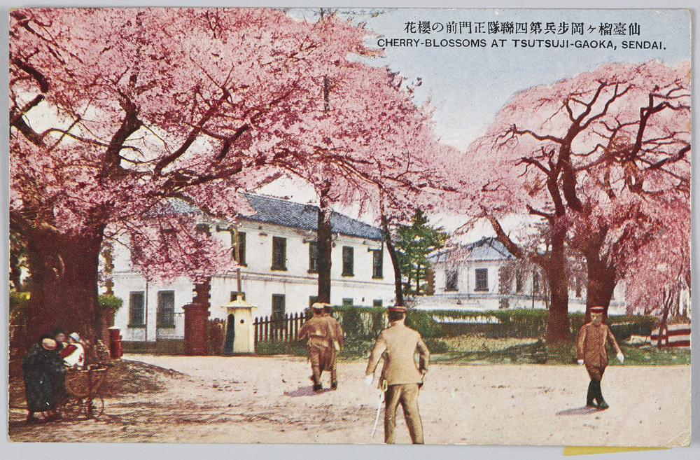 作品画像：仙台榴ヶ岡歩兵第四聯隊正門前の桜花