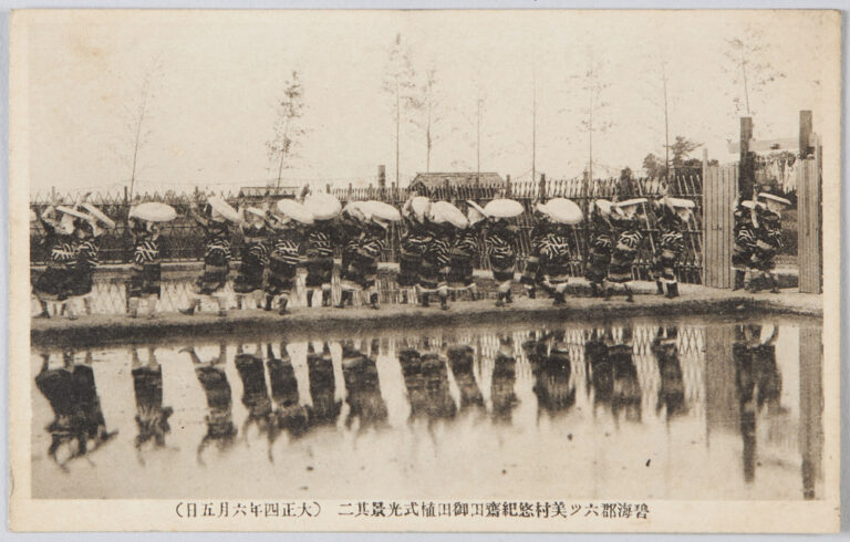 碧海郡六ッ美村悠紀斎田御田植式光景其二(大正四年六月五日) ToMuCo Tokyo Museum Collection