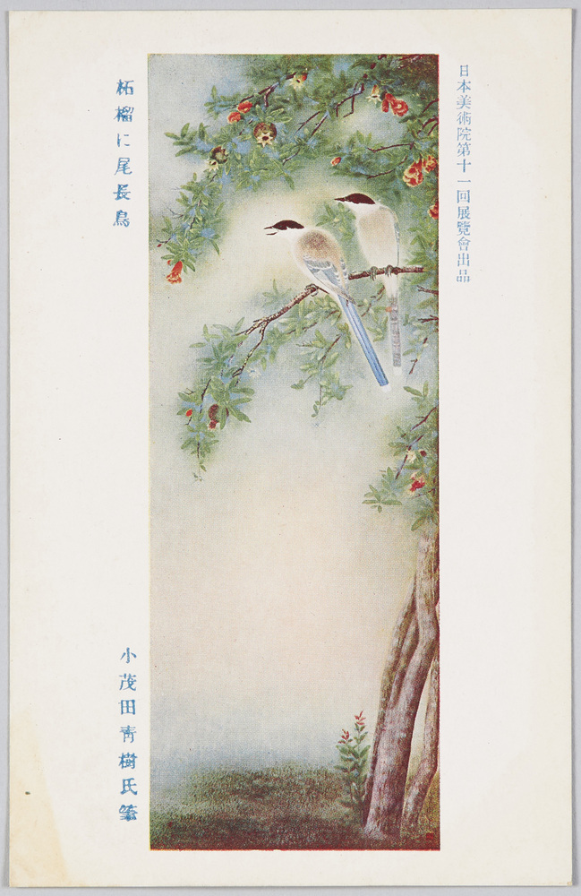 作品画像：日本美術院第十一回展覧会出品 「柘榴に尾長鳥」 小茂田青樹氏筆