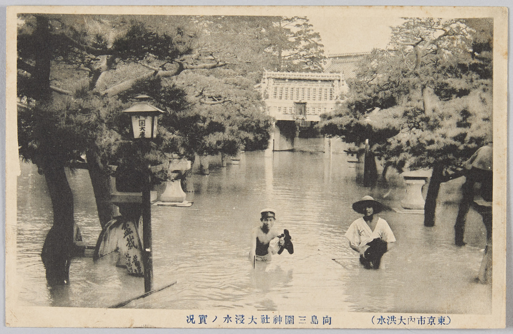 作品画像：(東京市内大洪水)向島三囲神社大浸水ノ実況