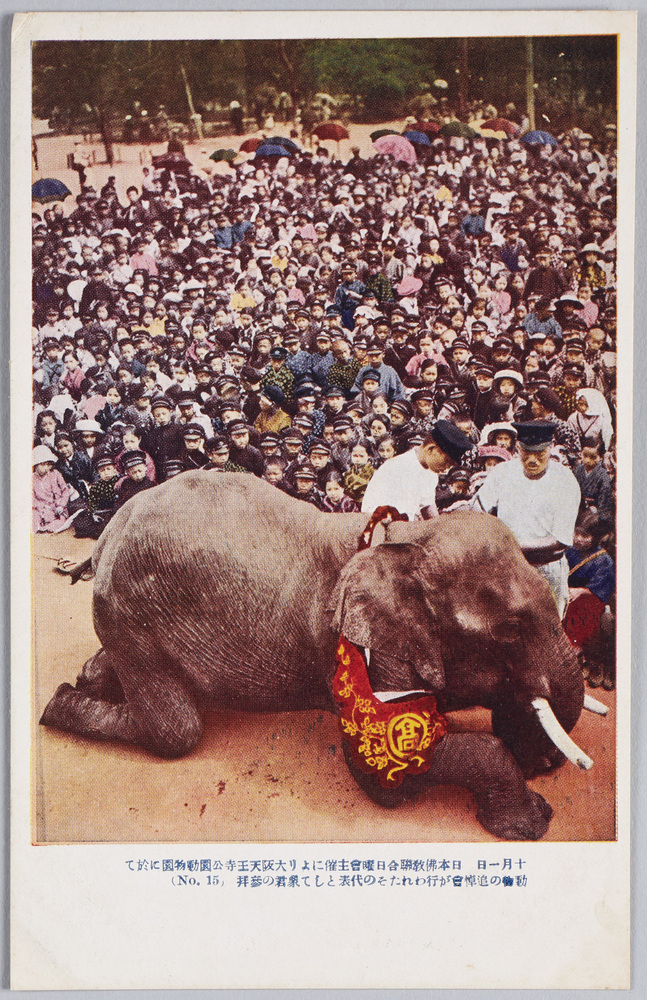 作品画像：十月一日日本佛教聯合日曜会主催により大阪天王寺公園動物園に於て動物の追悼会が行われたその代表として象君の参拝(No　15)