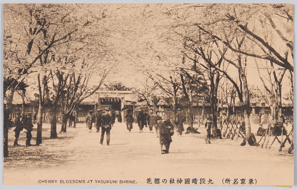 作品画像：(東京名所)　九段靖國神社の櫻花　CHERRY　BLOSSOMS　AT　YASUKUNI　SHRINE.