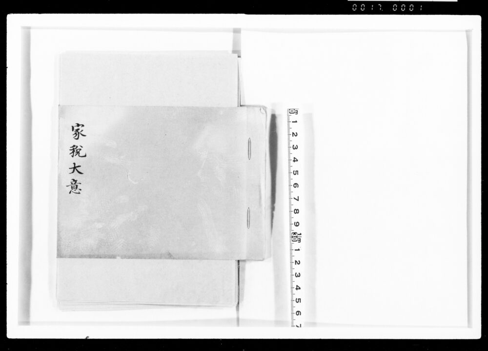 作品画像:家税大意