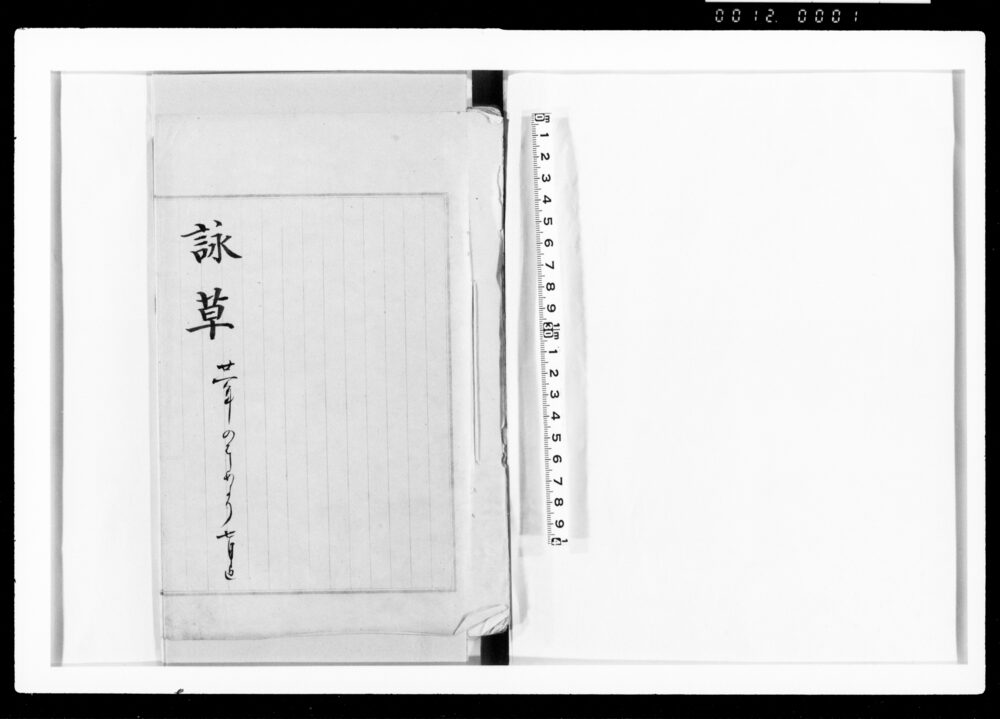 作品画像:詠草