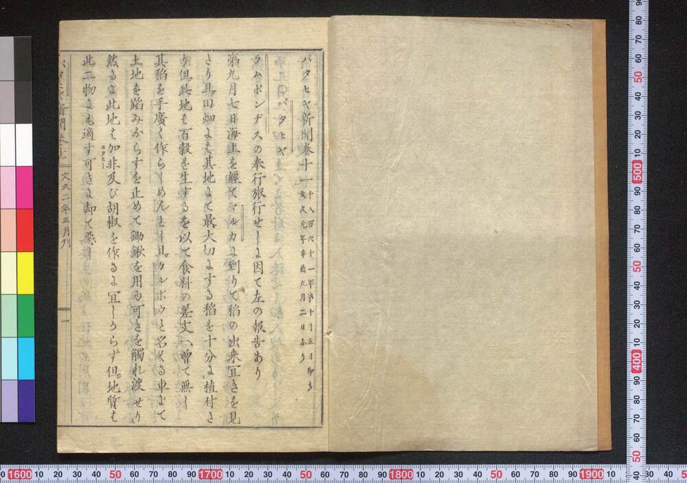 作品画像:官板バタヒヤ新聞