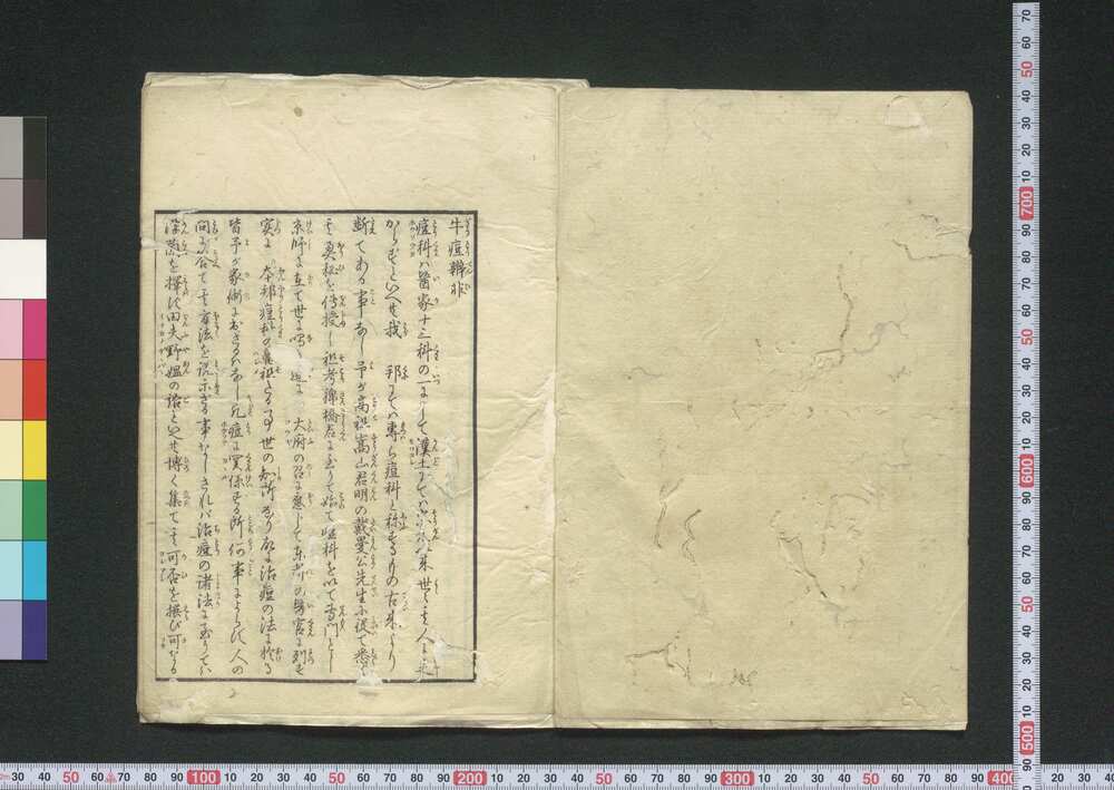 作品画像:牛痘辨非
