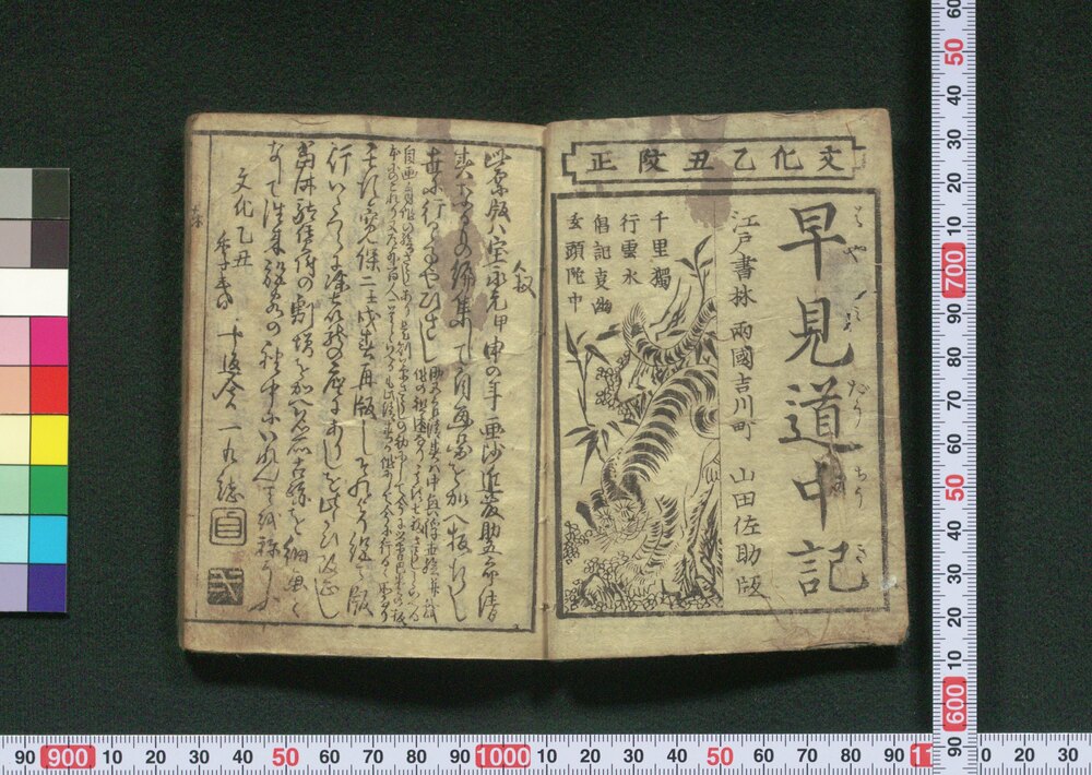 作品画像:早見道中記