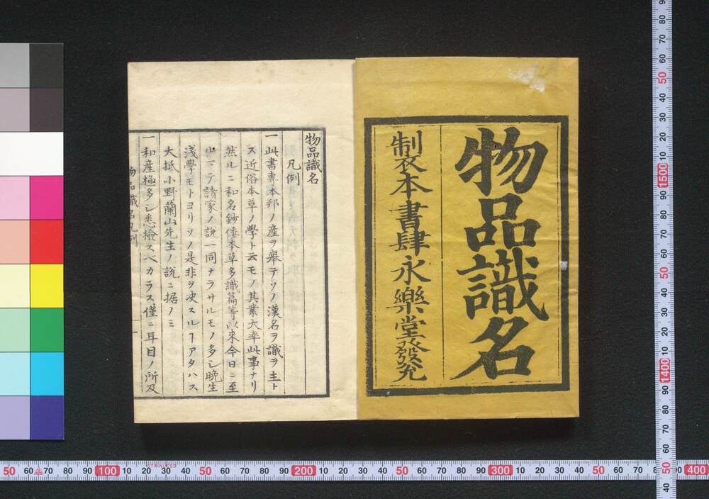 作品画像:物品識名