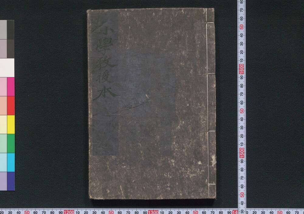 作品画像:小学教授本