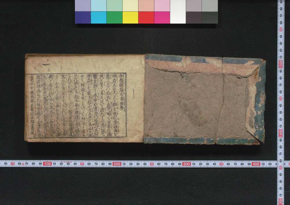 作品画像:薬種名寄帳