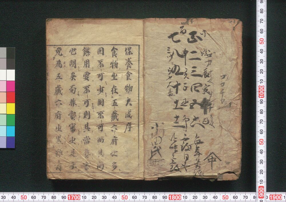 作品画像:保養食物大成
