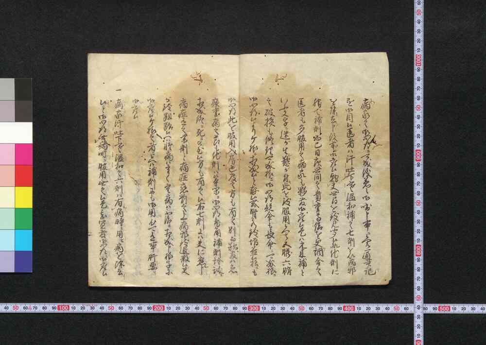 作品画像:補の用心