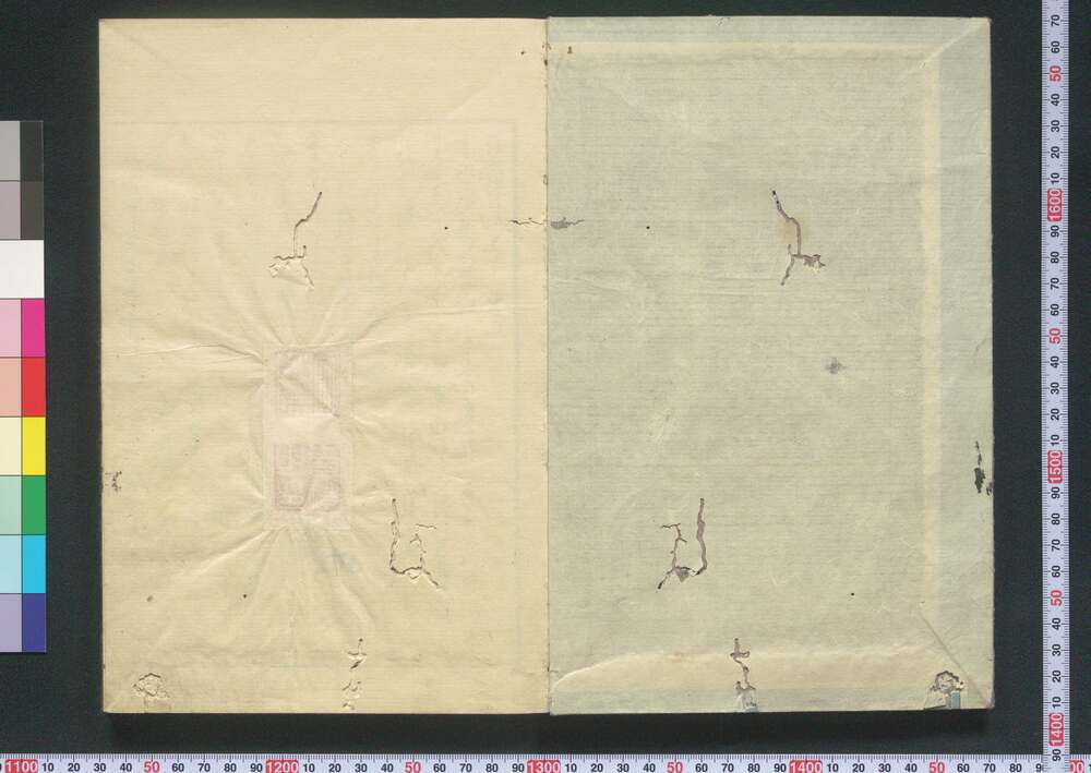 作品画像:落葉の錦