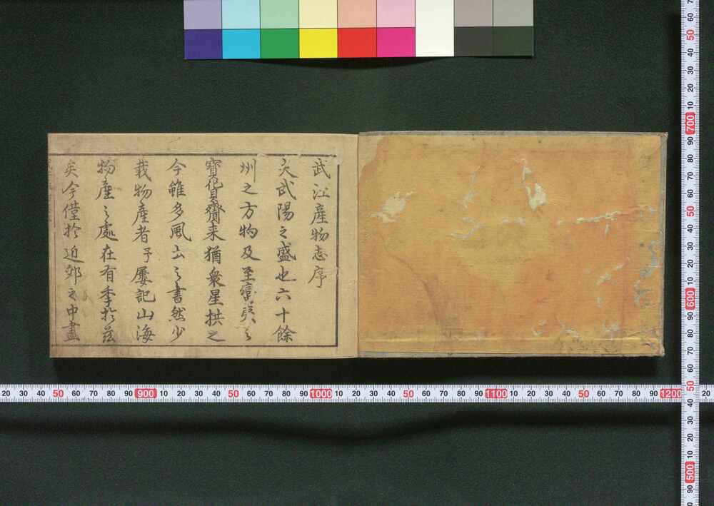 作品画像:武江産物志
