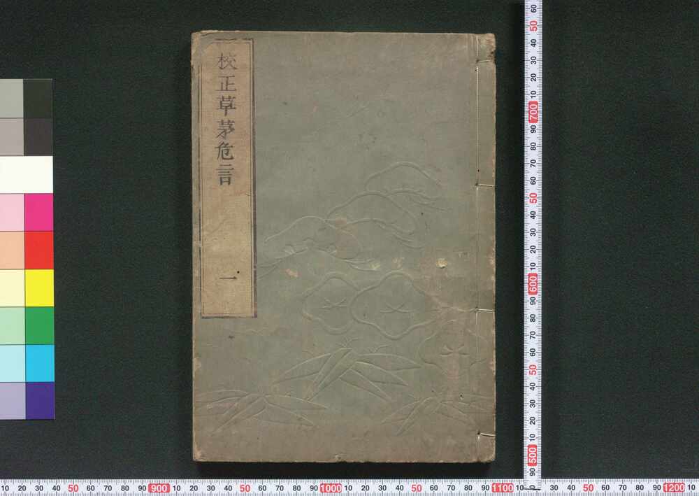 作品画像:草茅危言