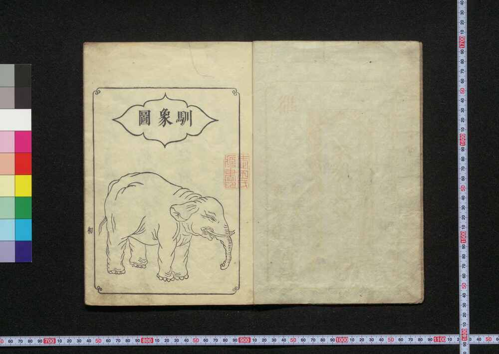 作品画像:象志