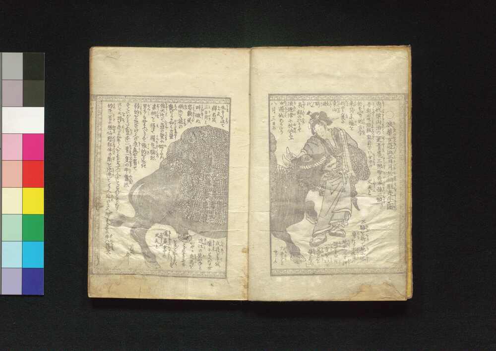 作品画像:復讐奇観 女達三日月於仙
