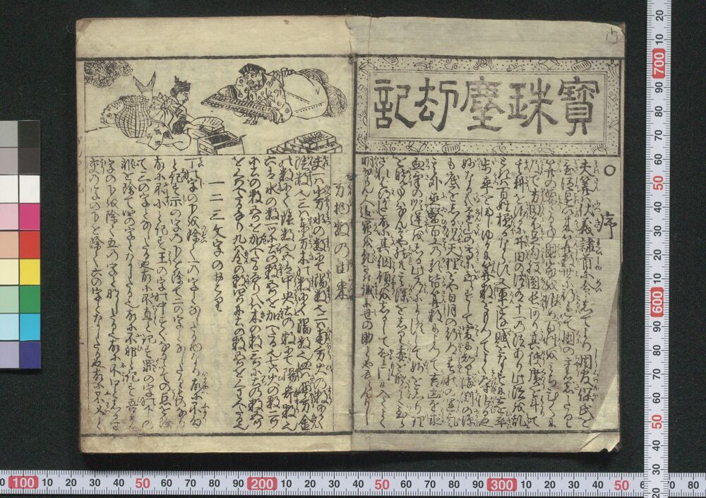 作品画像:宝珠塵劫記