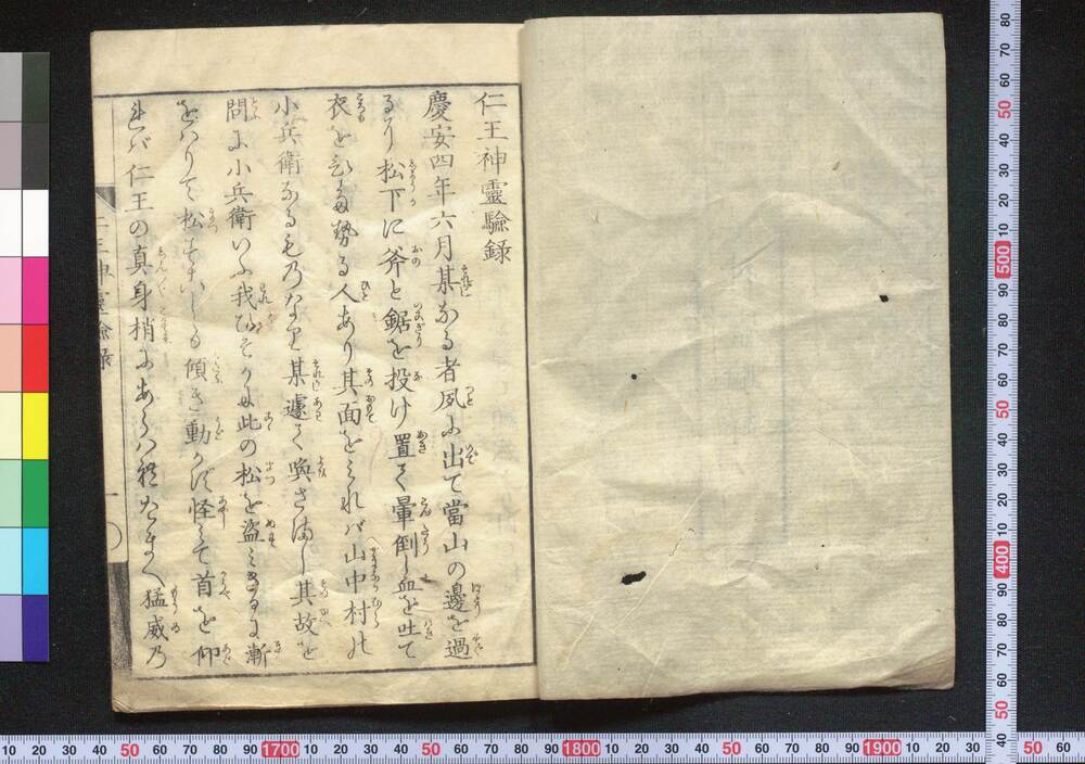 作品画像:仁王神霊験録