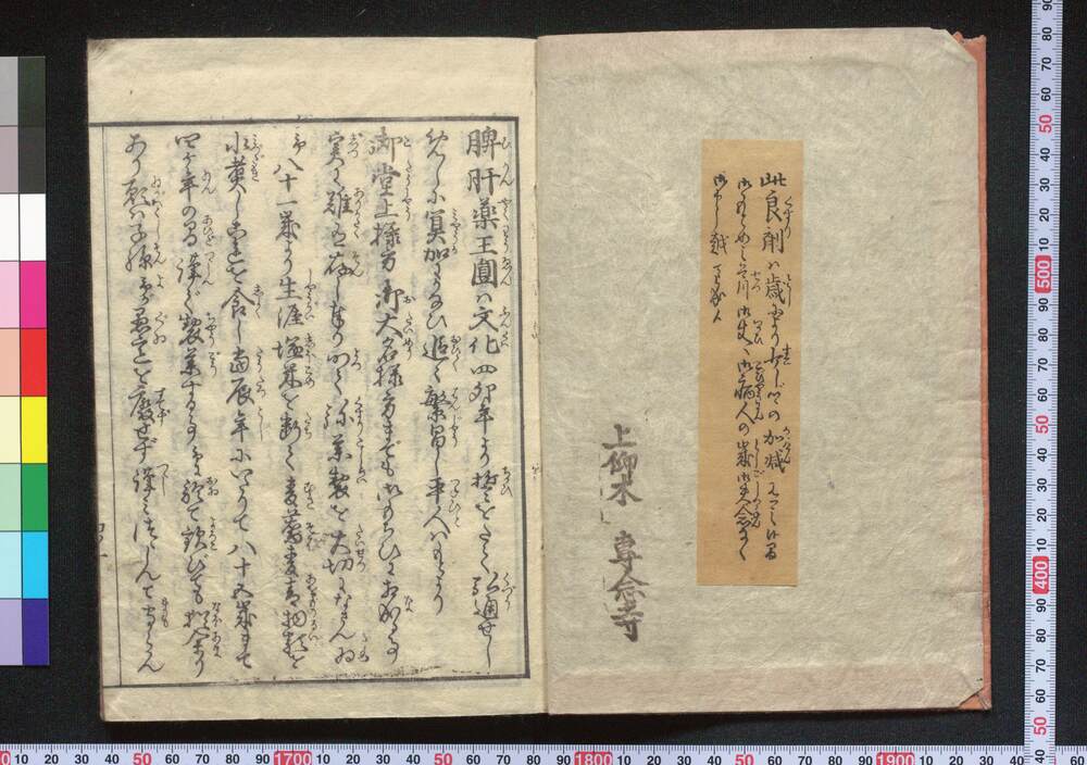 作品画像:小児養育金礎