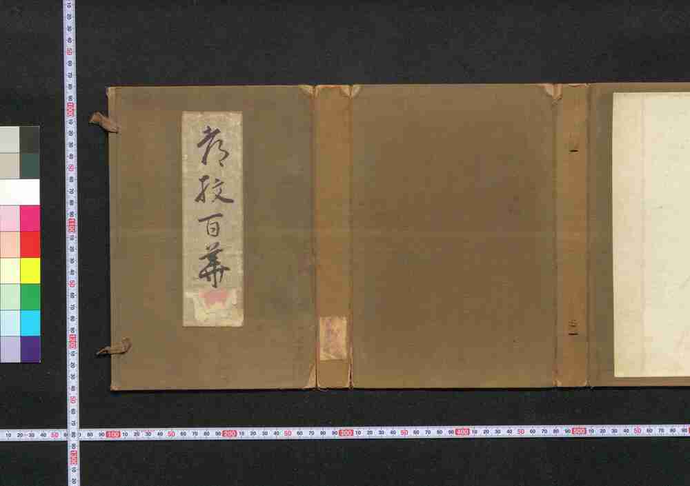 作品画像:都紋百華