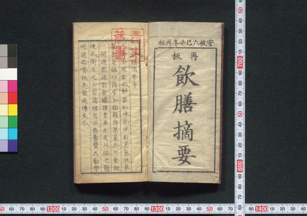 作品画像:飲膳摘要