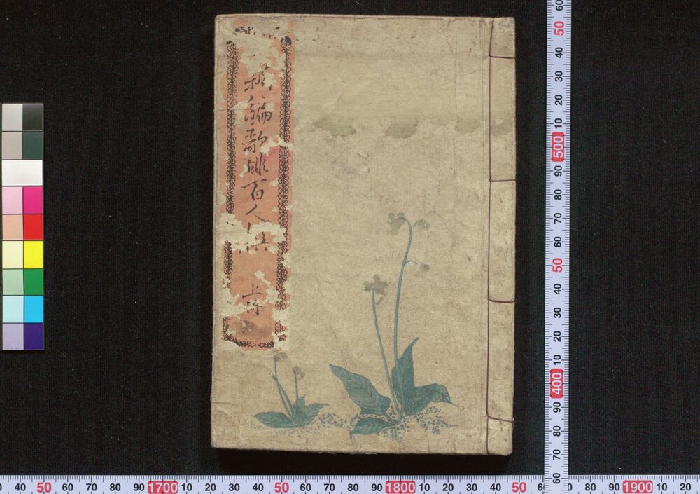 作品画像:新編歌俳百人撰