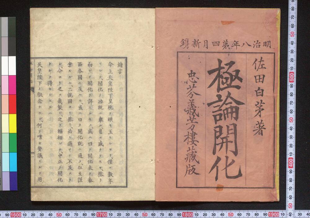 作品画像:極論開化