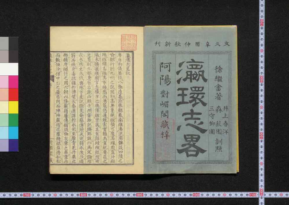作品画像:瀛環志略
