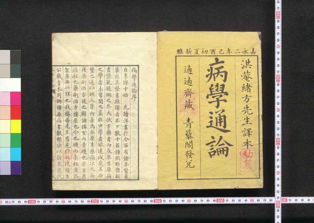 作品画像:病学通論