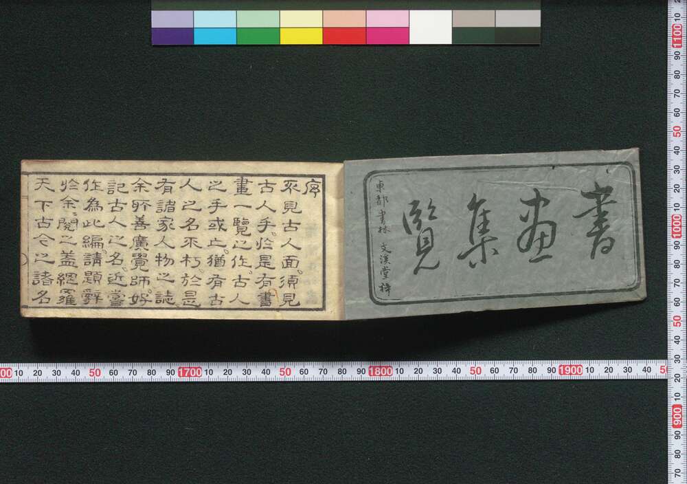 作品画像:大成和漢書画集覧