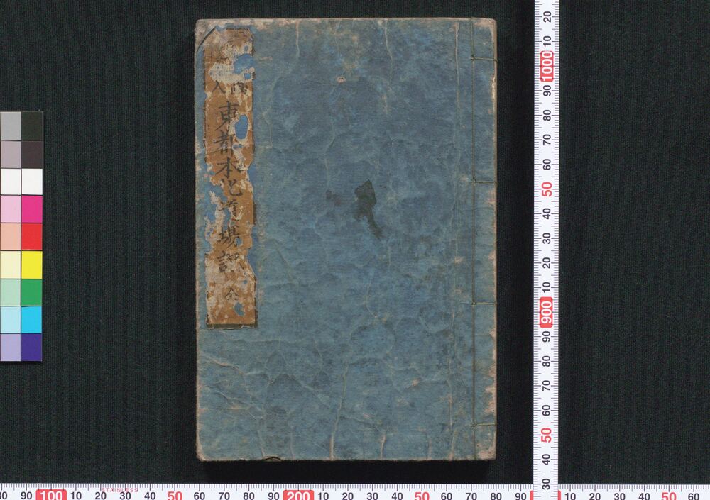 作品画像:東都本化道場記